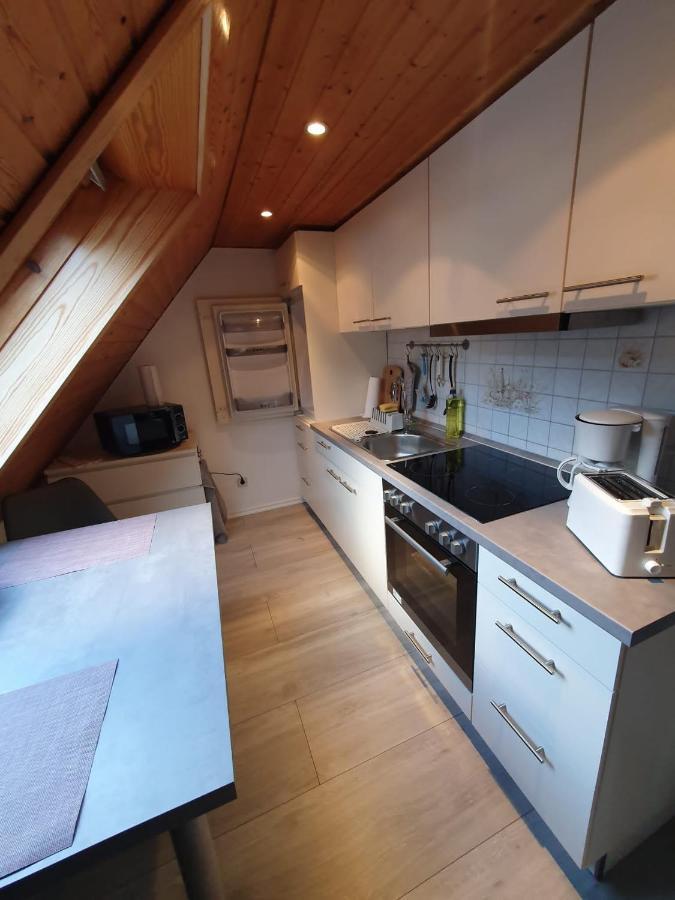 Ferienwohnung Haenel Antonshohe Exteriér fotografie