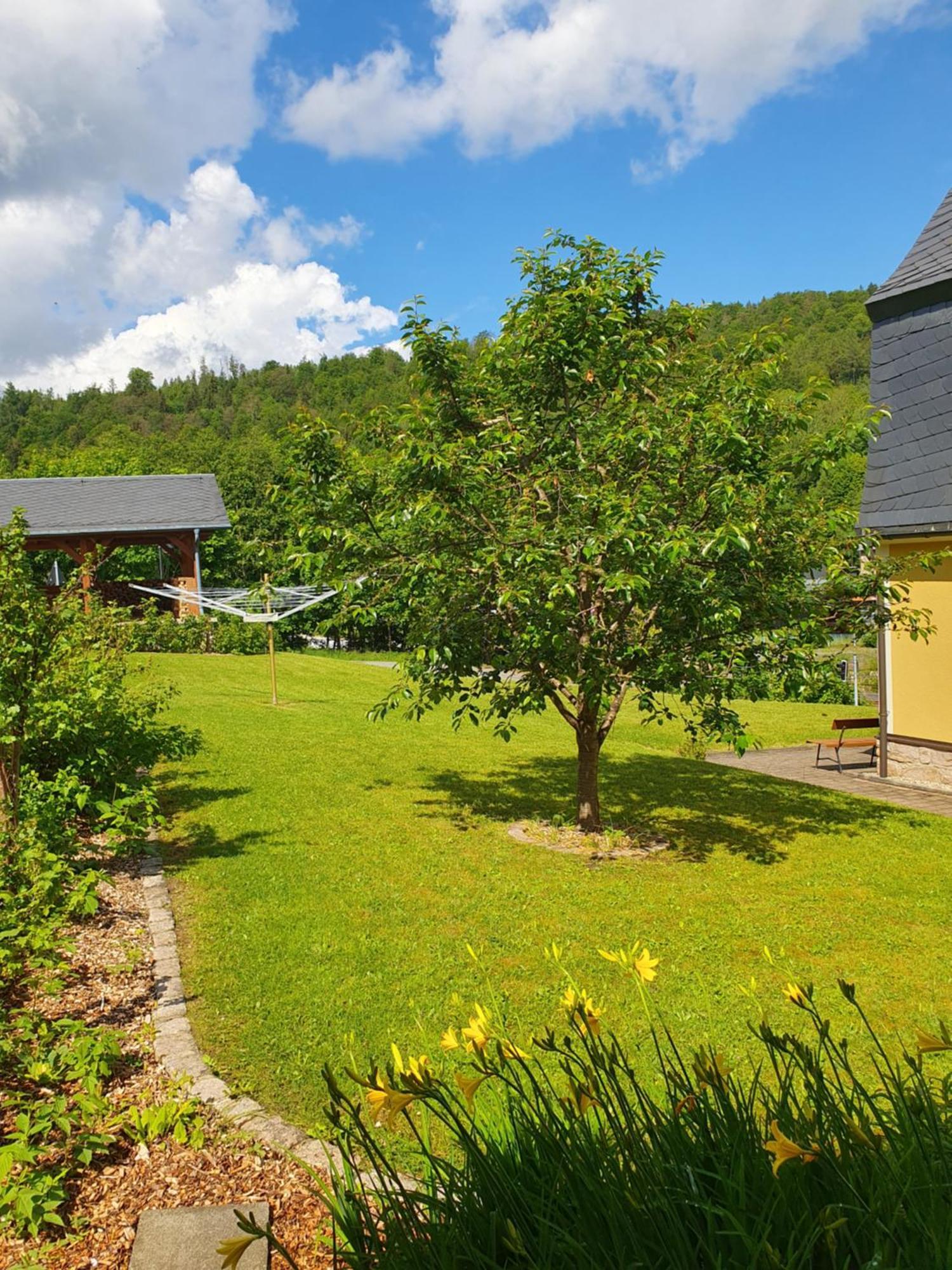 Ferienwohnung Haenel Antonshohe Exteriér fotografie